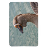 トゥールーズ・グース マグネット (縦)