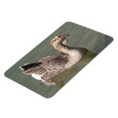 トゥールーズ・グース マグネット (左側)