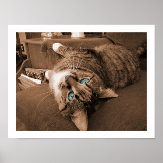 トウィルで休息する ポスター