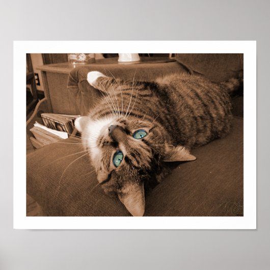 トウィルで休息する ポスター (正面)