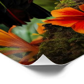 トウカカラフルウ鳥 ポスター (コーナー)