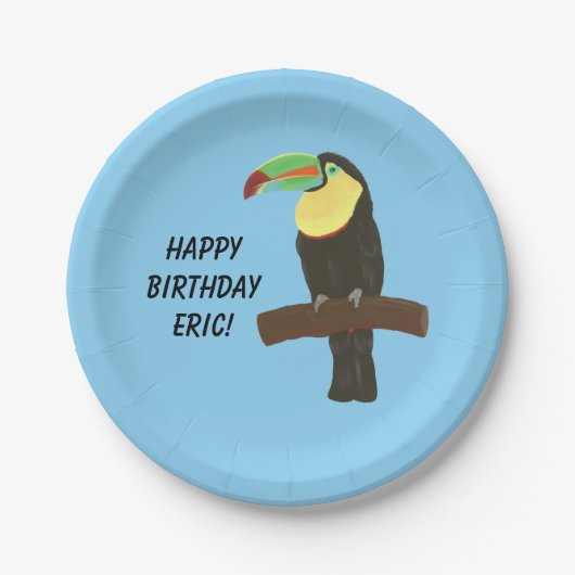 トウカラフルカン鳥ハッピーバースデープレート ペーパープレート (正面)