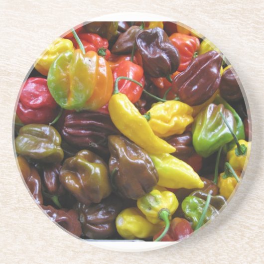 トウガラシYum コースター (正面)