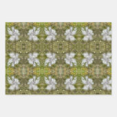 トウキビの莢、種子、絹 |ナチュラル | ラッピングペーパーシート (正面3)