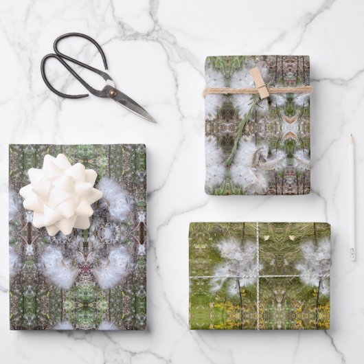 トウキビの莢、種子、絹 |ナチュラル | ラッピングペーパーシート (正面)