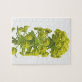 トウダイグサ属 ジグソーパズル (横)