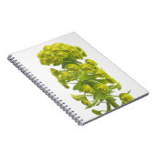 トウダイグサ属 ノートブック (右側)