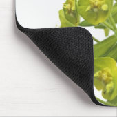 トウダイグサ属 マウスパッド (コーナー)