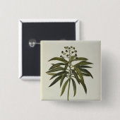 トウダイグサ属Mellifera 缶バッジ (正面&裏面)