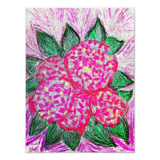 トウダイグサ フォトプリント            (正面)