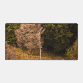 トウヒの古い誇りを持った木 デスクマット (正面)