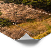 トウヒの古い誇りを持った木 ポスター (角)