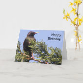トウヒの木に星付きカスタム誕生日カード カード (黄色い花)