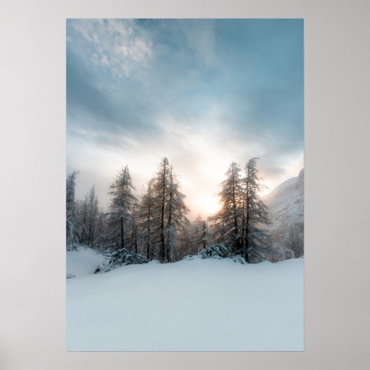 トウヒの木の後ろの太陽 ポスター (正面)