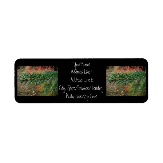 トウヒの枝の水滴 ラベル (正面)