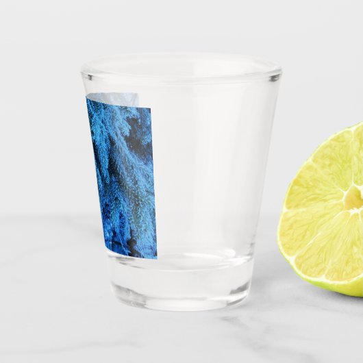 トウヒの枝は雪と霜で覆われた ショットグラス (右)