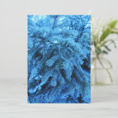 トウヒの枝は霜の結晶で覆われている シーズンカード (スタンド正面)