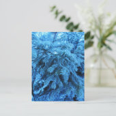 トウヒの枝は霜の結晶で覆われている シーズンポストカード (スタンド正面)