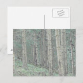 トウヒの森の中 ポストカード (正面/裏面)