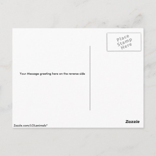 トウヒ、オス ポストカード (裏面)