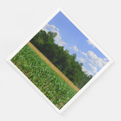 トウモロコシと小麦の畑と青い空の農村風景 (コーナー)