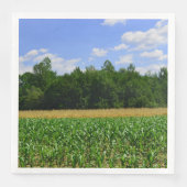 トウモロコシと小麦の畑と青い空の農村風景 (正面)
