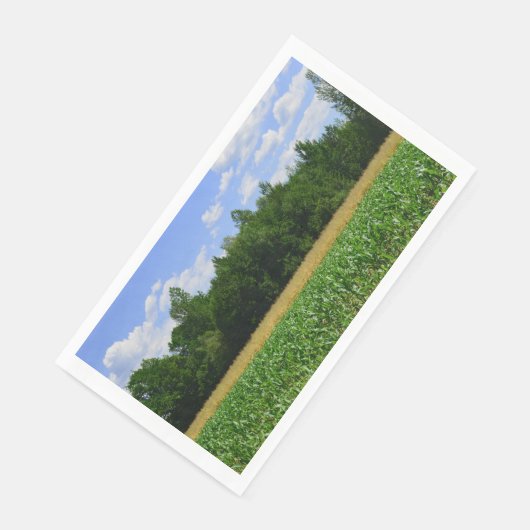 トウモロコシと小麦の畑と青い空の農村風景 (コーナー)