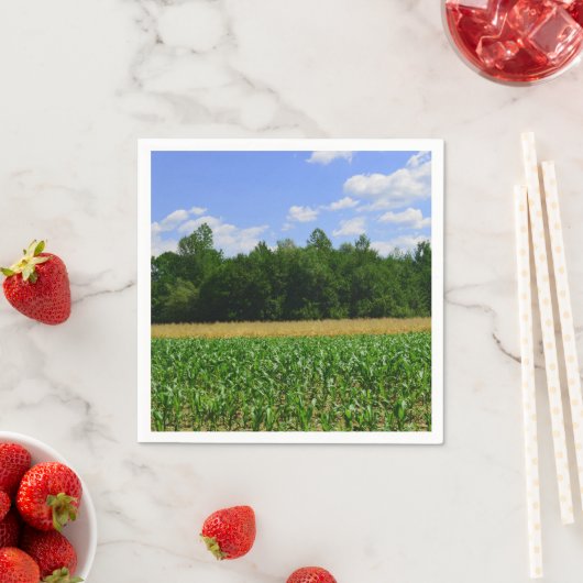 トウモロコシと小麦の畑と青い空の農村風景 スタンダードカクテルナプキン (インサイチュ)