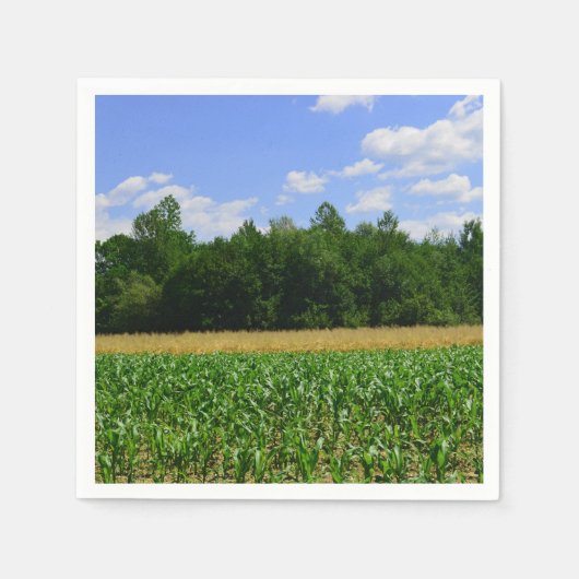 トウモロコシと小麦の畑と青い空の農村風景 スタンダードカクテルナプキン (正面)