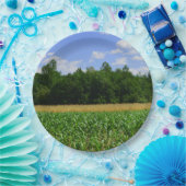 トウモロコシと小麦の畑と青い空の農村風景 ペーパープレート (パーティー)