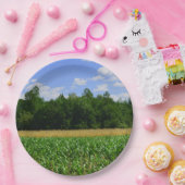 トウモロコシと小麦の畑と青い空の農村風景 ペーパープレート (パーティー)