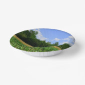 トウモロコシと小麦の畑と青い空の農村風景 ペーパーボウル (傾斜あり)