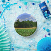 トウモロコシと小麦の畑と青い空の農村風景 ペーパーボウル (パーティー)