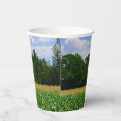 トウモロコシと小麦の畑と青い空の農村風景 紙コップ (右)