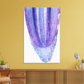 トウモロコシの根先 キャンバスプリント (インサイチュ (リビング))