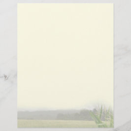 トウモロコシの植物を持つ農場の空白の景観