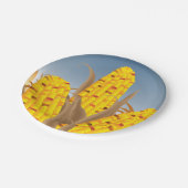 トウモロコシの紙皿 ペーパープレート (アングル)