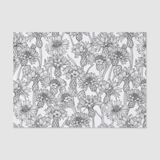 トウモロコシの花、白と黒の野生の花 薄葉紙 (正面)