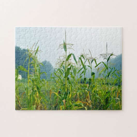 トウモロコシの茎ウィスコンシン。 ジグソーパズル (横)