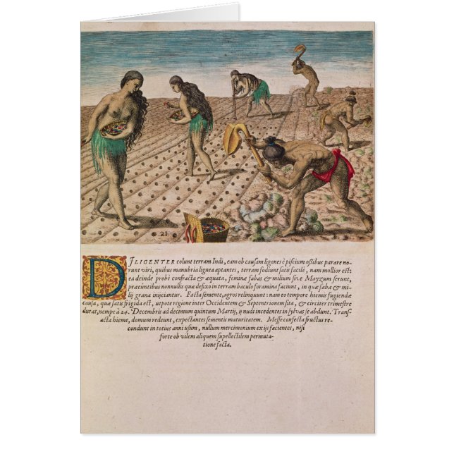 トウモロコシを植えているフロリダのインディアン (正面)