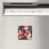 トウモロコシカラフル磁石 マグネット (インサイチュ (食洗機))