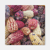 トウモロコシカラフル磁石 マグネット (正面)