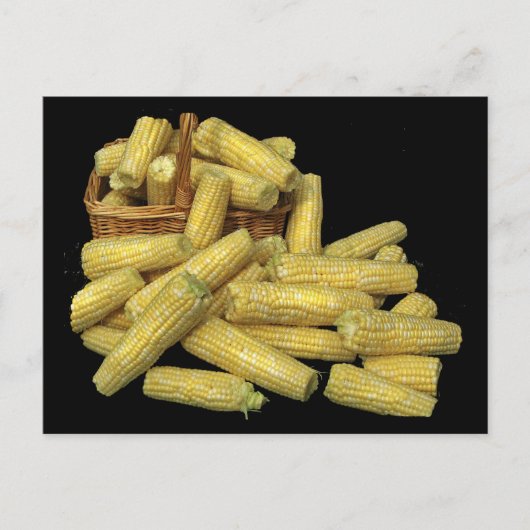 トウモロコシ収穫 ポストカード (正面)