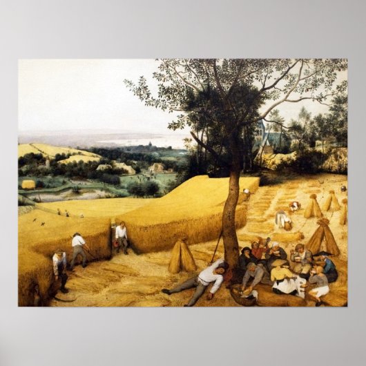 トウモロコシ収穫 – 1565 ポスター (正面)