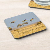 トウモロコシ畑に上陸する砂丘クレーン コースター (左側)