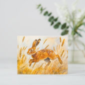 トウモロコシ畑の水の色の絵を描ウサギ ポストカード (スタンド正面)