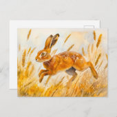 トウモロコシ畑の水の色の絵を描ウサギ ポストカード (正面/裏面)