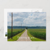 トウモロコシ畑の間に ポストカード (正面/裏面)