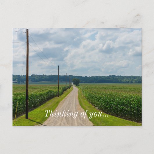 トウモロコシ畑の間に ポストカード (正面)