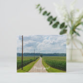 トウモロコシ畑の間 ポストカード (スタンド正面)